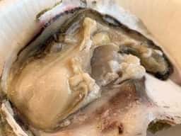 岩牡蠣小屋姫宮