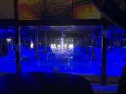 ベビーフェイスプラネッツ 熊本けやき通り店