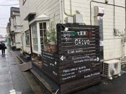 osteria chivo