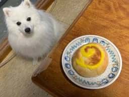 小古井菓子店