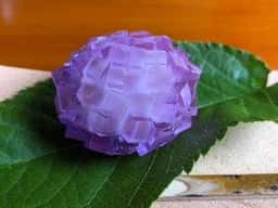 御菓子司 こまき