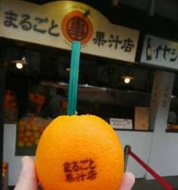 まるごと果汁店