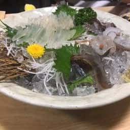 蛍