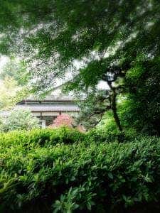 四季茶房 八夢