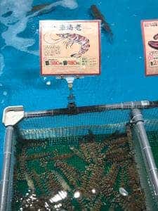 ジャンボ釣船 つり吉 難波店