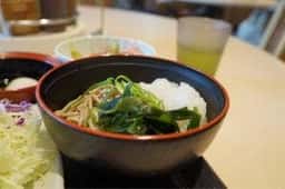 松のや つくば東大通り店