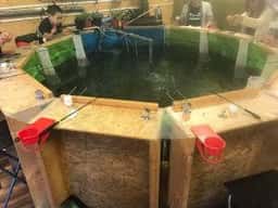 釣り掘りカフェ Catch＆Eat 練馬店
