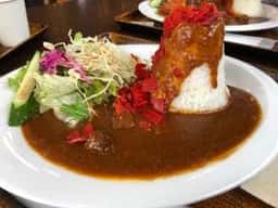 富士山みはらし