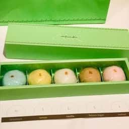 四条 nikiniki 1689