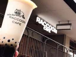 RACCOON CAFE