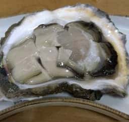 海心坊