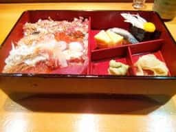 琴寿し