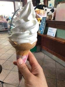 アルティジャーノ・ジェラテリア