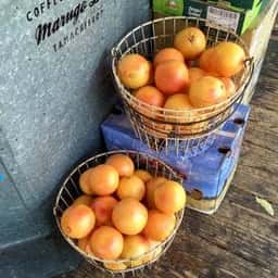 マルゴ・デリ田町店