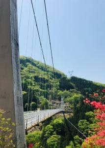 コテージカフェ まほーばの森