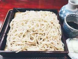 更科甚吾郎