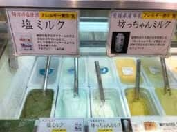 えひめ果実倶楽部みかんの木 ハイカラ通り店