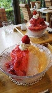 森の芽ぶきたまご舎愛島本店