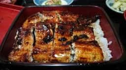 うなぎ初