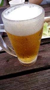 ヤマネコテラス 那須どうぶつ王国