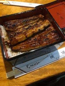魚藤