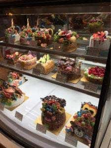 森のくまさん ボンガトー