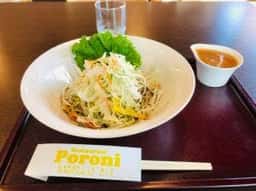 Poroni