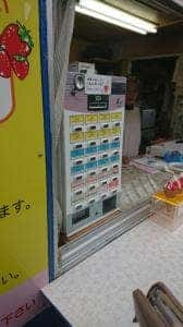 松岡ドームいちご園