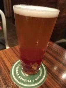BEER CAFE GAMBRINUS