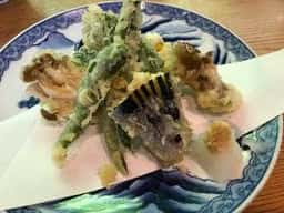 津久茂