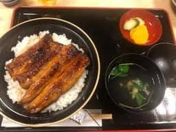 うなぎ曳馬
