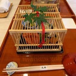 荒木町 光樹
