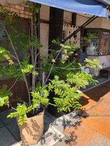 手打うどん麺工棒 宇部本店