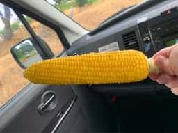 柳田とうもろこし店