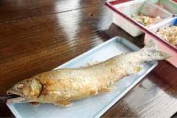 日田鮎やな場茶屋