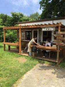 西表の少年