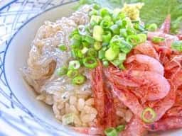 EXPASA富士川 SA上り 日近商店