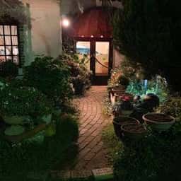 バローロ