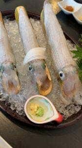 呼子朝市いか処 歳香亭