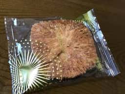 ガトウ専科 CoCoLo新潟店