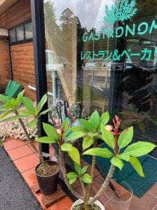 ガストロノームベーカリー
