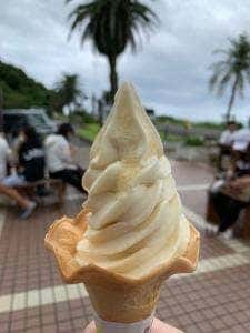 ファストフード 道の駅フェニックス