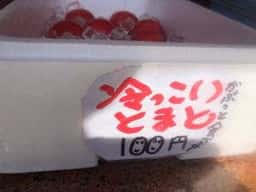 ぶなの森 玉川温泉 湯治館 そよ風