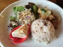 茶舎 野うさぎ