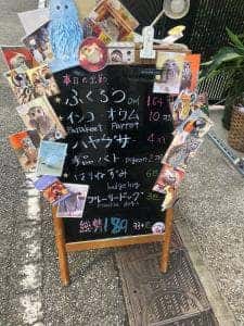 鳥のいるカフェ 谷中本店