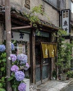 魚芳