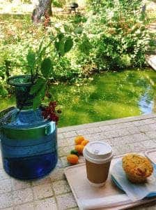 hermetic earth cafe