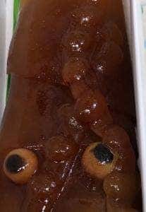 はこだて 柳屋