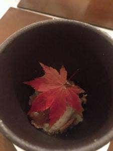 ドール・ハウス