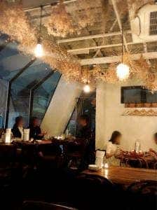 カフェ & 居酒屋 チョウチン 原宿・表参道店